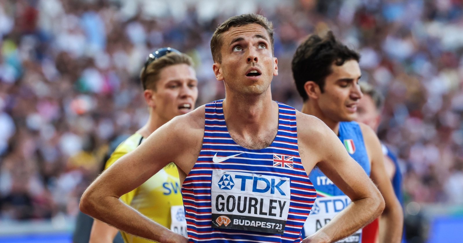 Neil Gourley